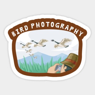 Bird Photography Sticker